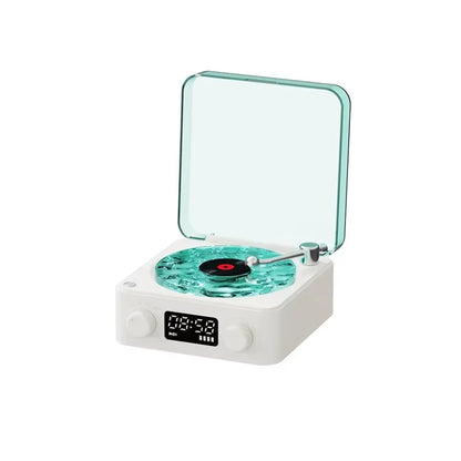 Speaker vinyl